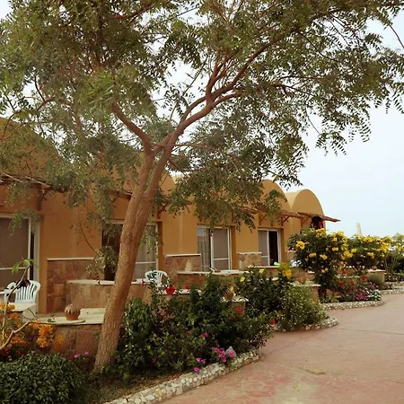 Silver Beach Boutique Hotel (Adults Only) El Qoseir Extérieur photo