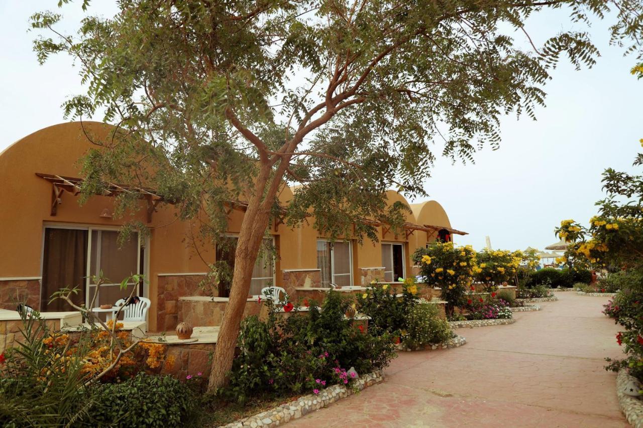 Silver Boutique (adults Only) Station touristique El Qoseir