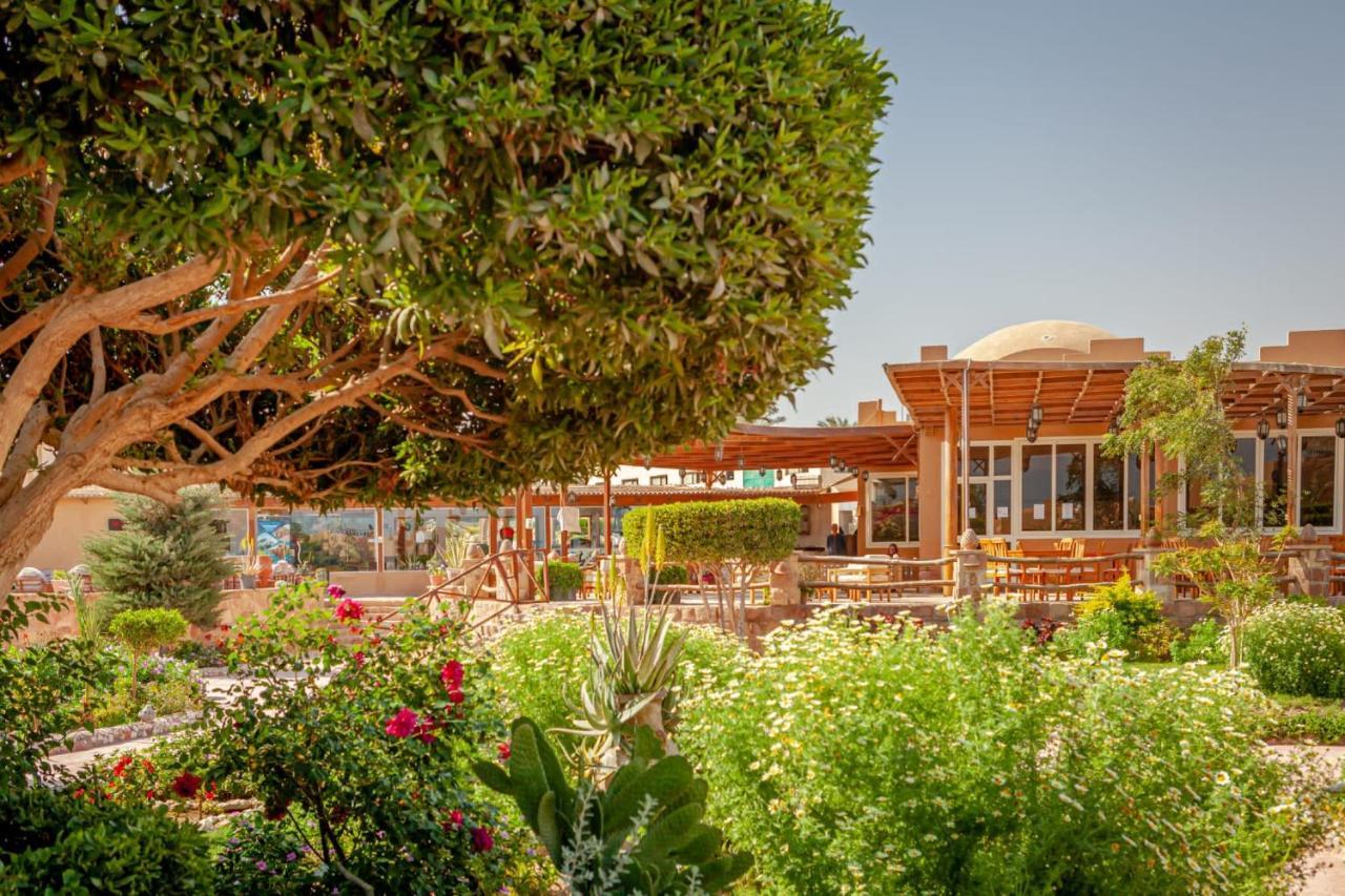 Station touristique Silver Boutique (adults Only) El Qoseir